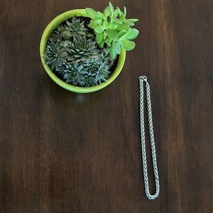 Stainless Steel Chain